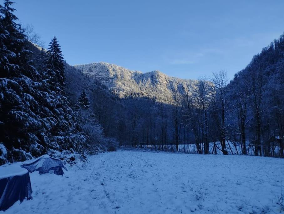 Chalet 8 Personnes + Grand Terrain Et Riviere Entremont Exteriér fotografie